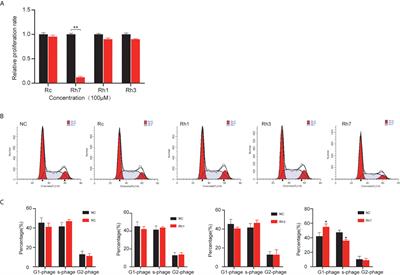 Ginsenoside Rh7 Suppresses Proliferation, Migration and Invasion of NSCLC Cells Through Targeting ILF3-AS1 Mediated miR-212/SMAD1 Axis